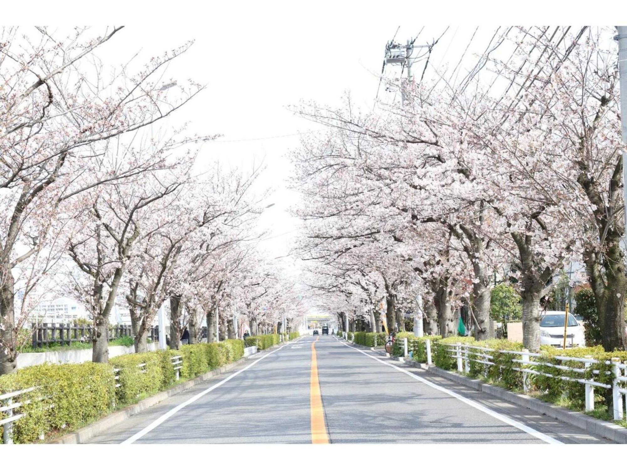 La Mer Urayasu - Vacation Stay 11148 エクステリア 写真